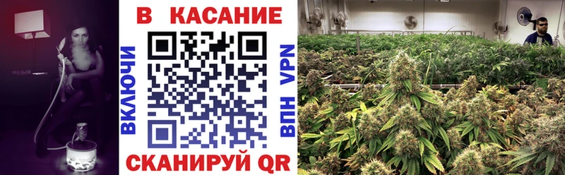Купить закладку СК  АМФЕТАМИН  МАРИХУАНА  Бутират  Меф  Сураж