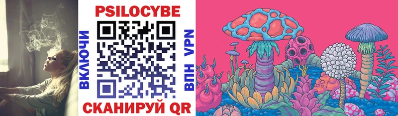 Купить  Сураж  Галлюциногенные грибы Psilocybine cubensis 