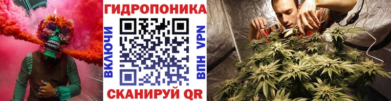 Купить закладки  Сураж  Канабис OG Kush 
